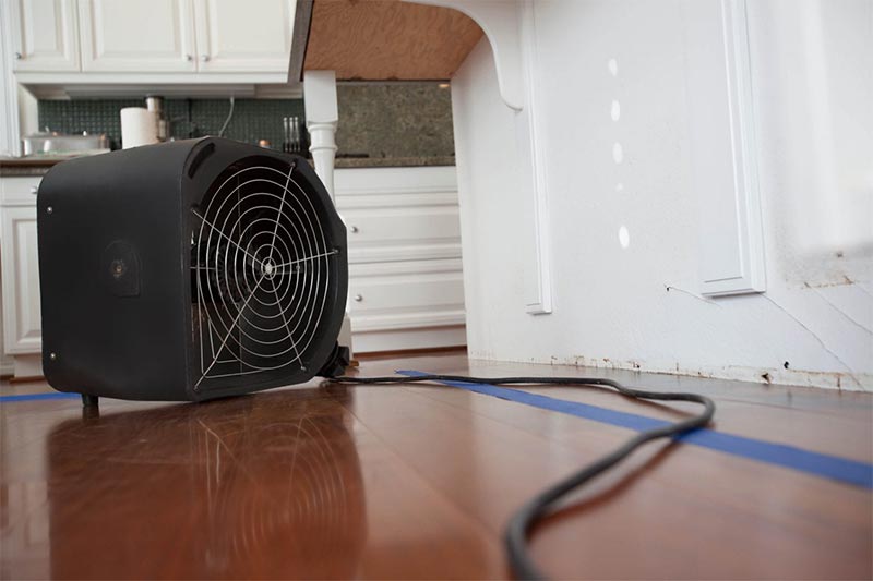 Water Removal Service in Sacramento