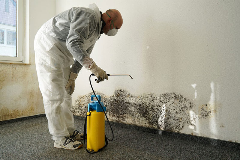 Mold Remediation & Removal in Sacramento