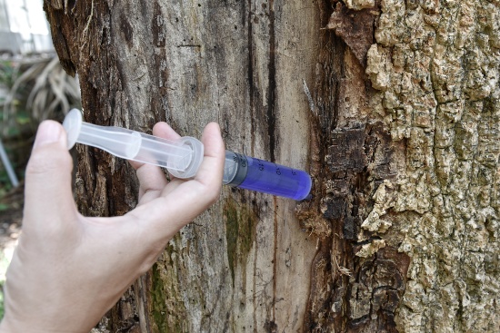 Dry Rot Repair Services in Sacramento and Solano, CA